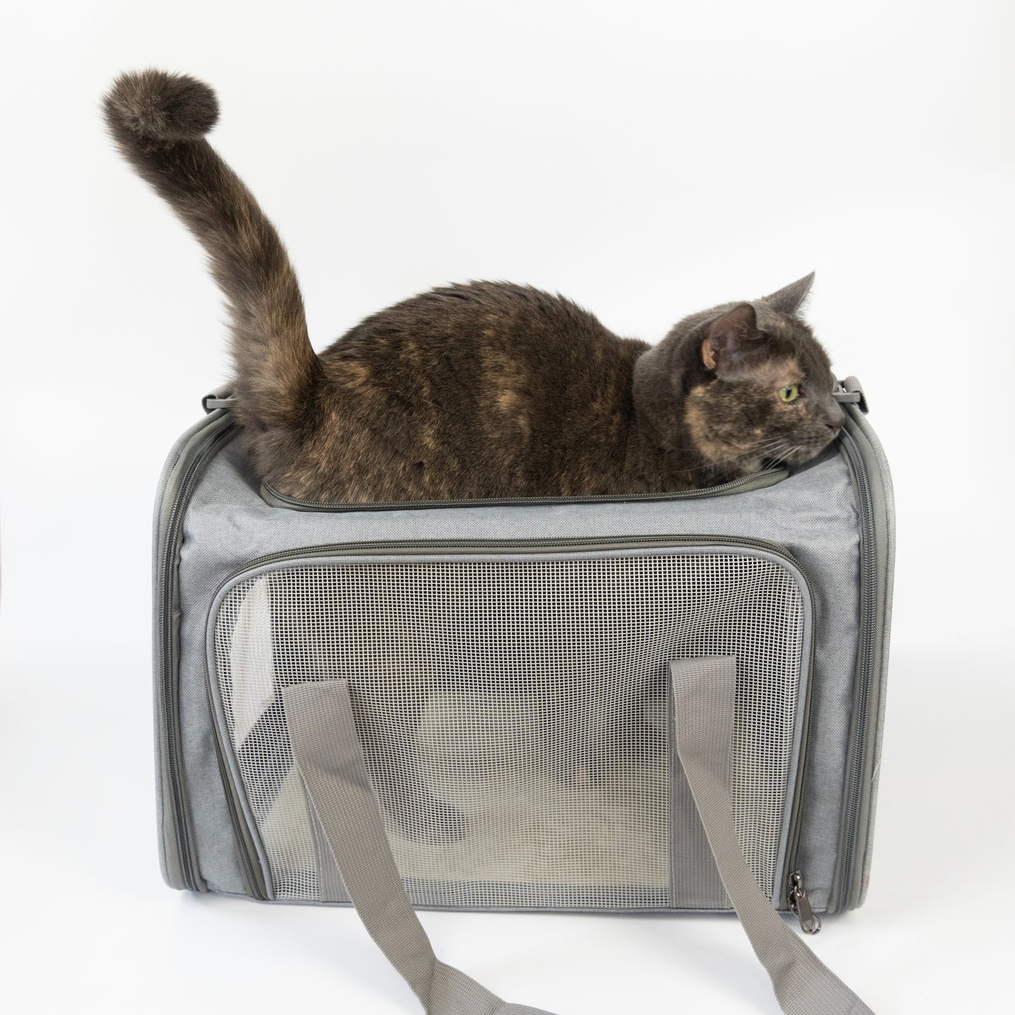 Transporttasche