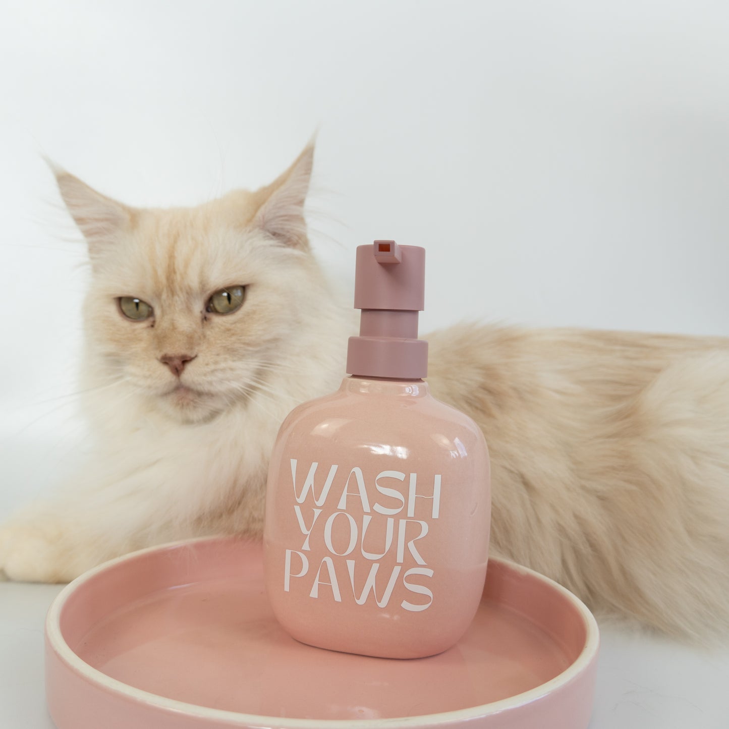 Seifenspender | Wash your paws