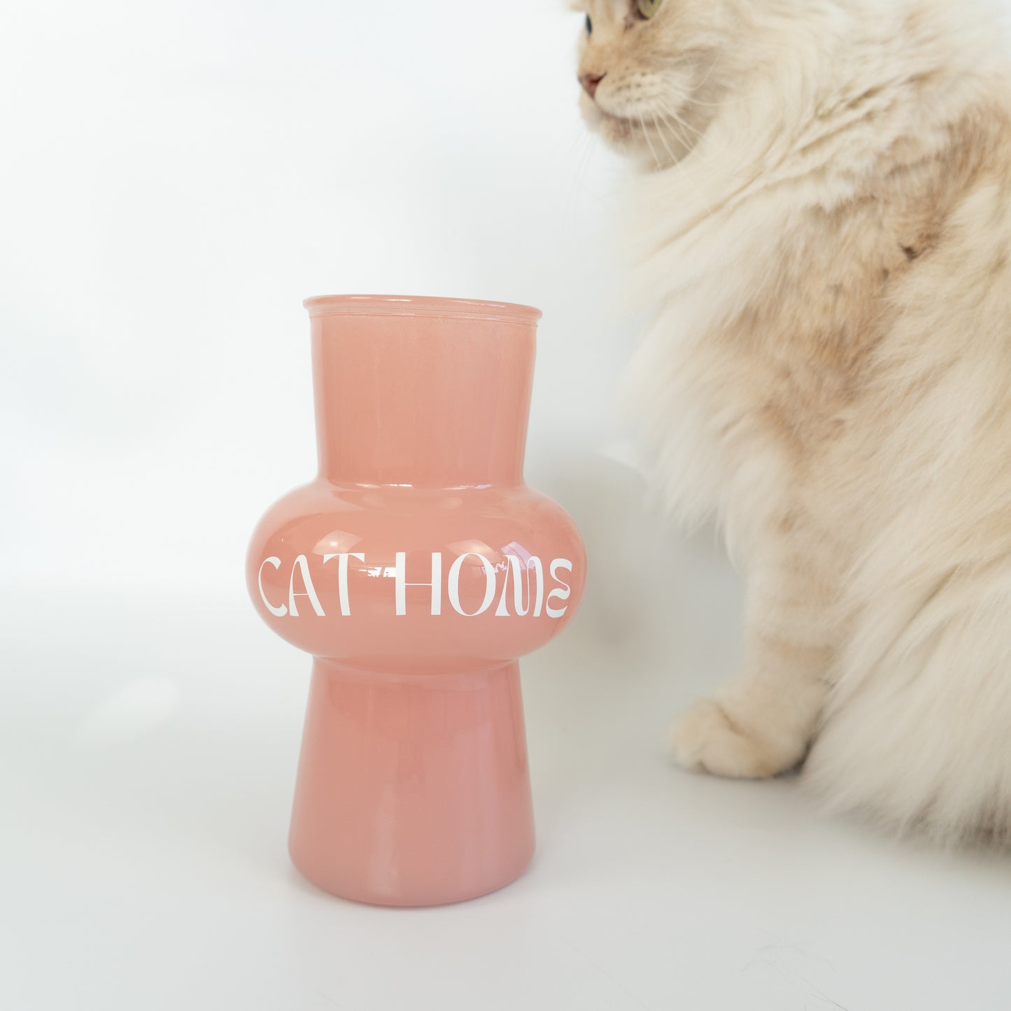 Vase | CAT HOME