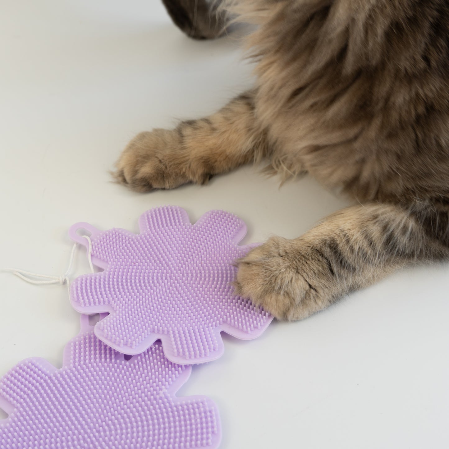 Purrfect Clean Silikonschwämme | 2er Set