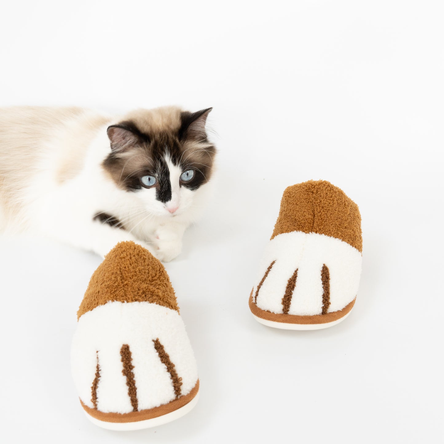 Hausschuhe "Paws"
