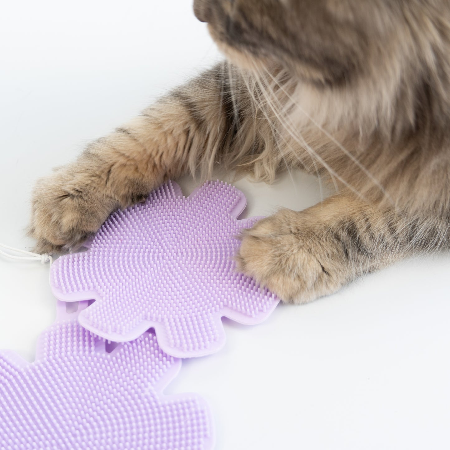 Purrfect Clean Silikonschwämme | 2er Set