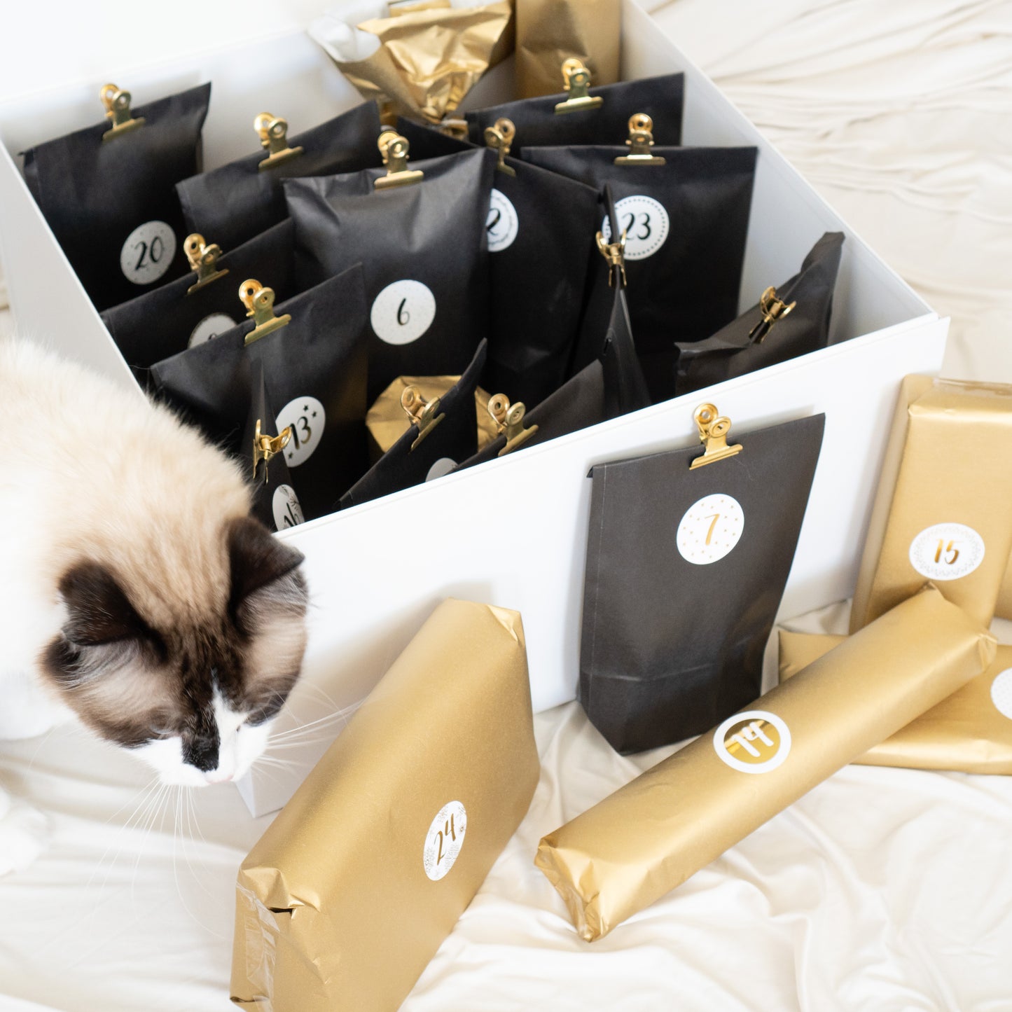 Catmom Adventskalender 2023