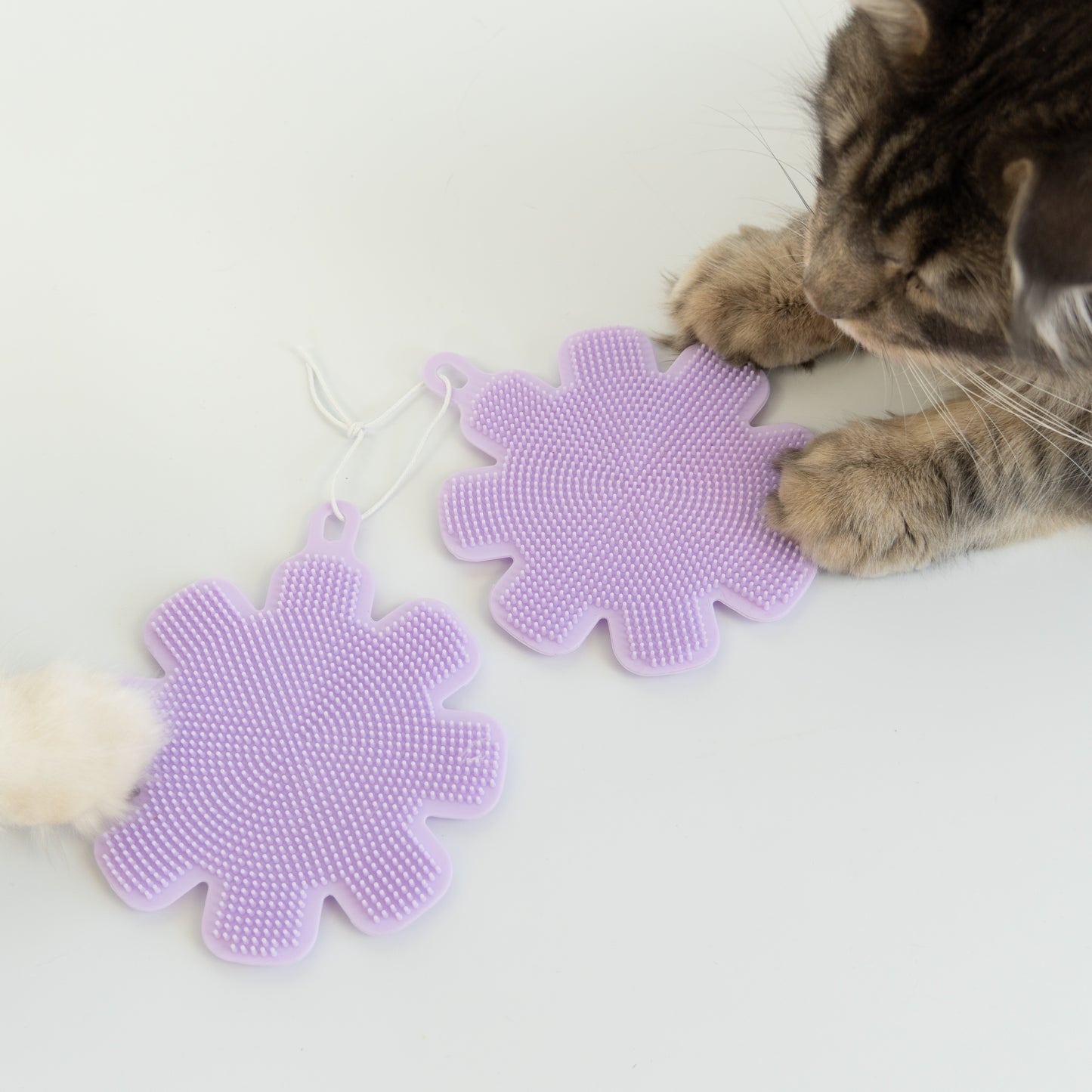 Purrfect Clean Silikonschwämme | 2er Set