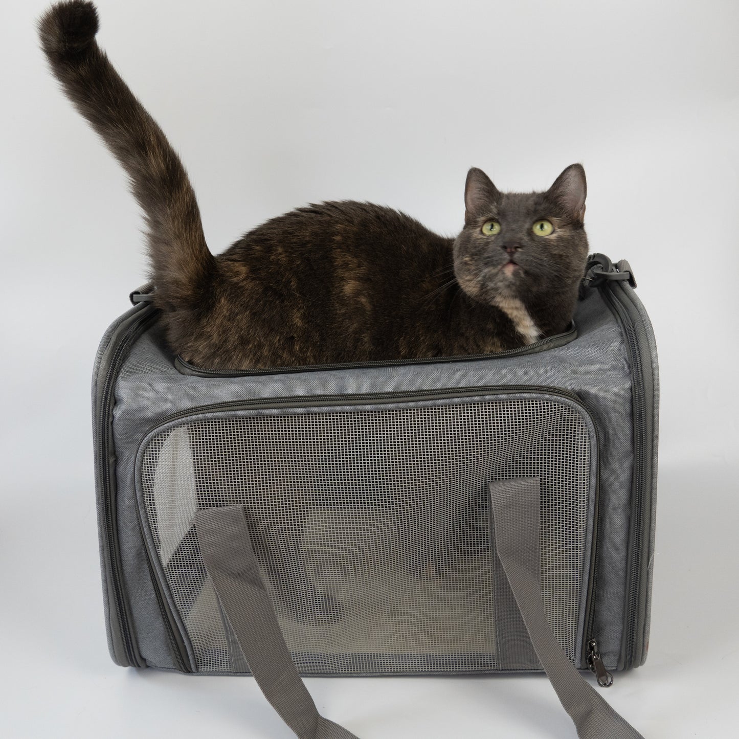 Transporttasche