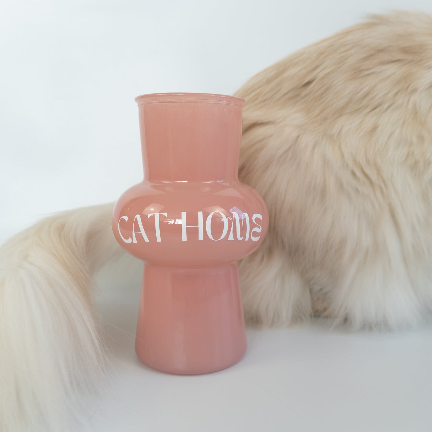 Vase | CAT HOME