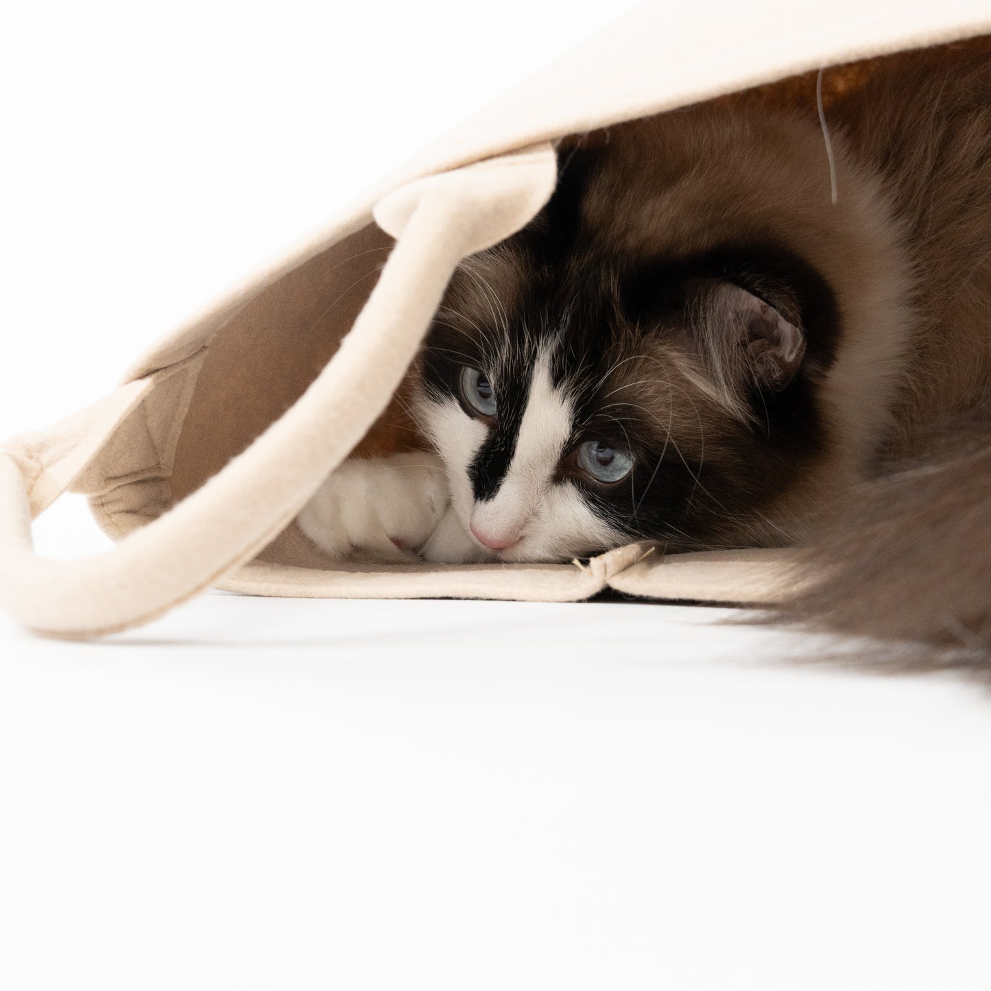 Spielzeugkorb "CAT FAVORITES"