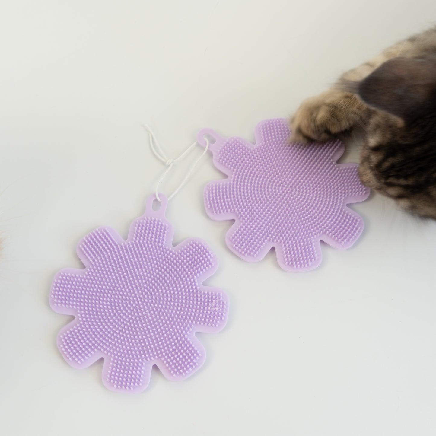 Purrfect Clean Silikonschwämme | 2er Set