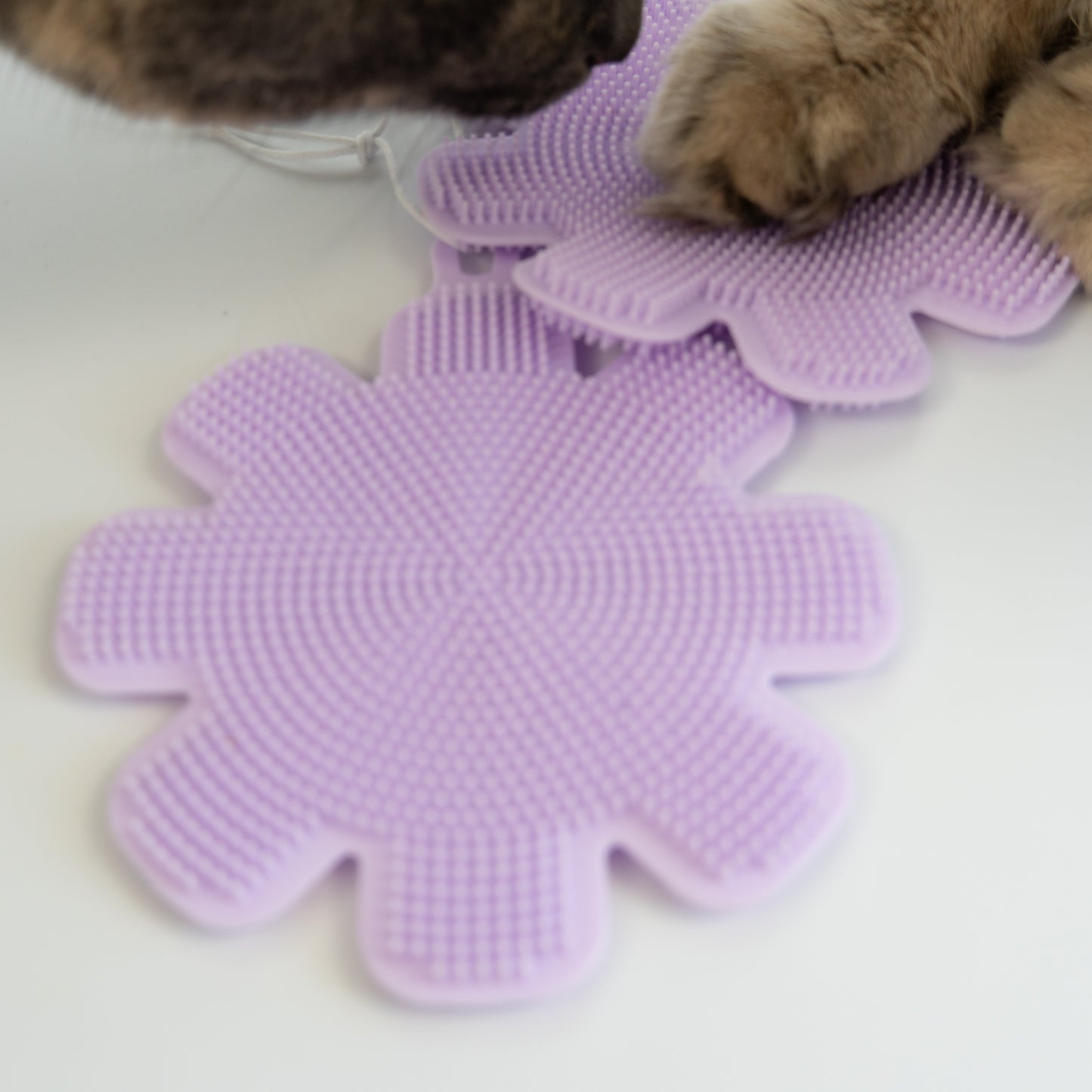 Purrfect Clean Silikonschwämme | 2er Set