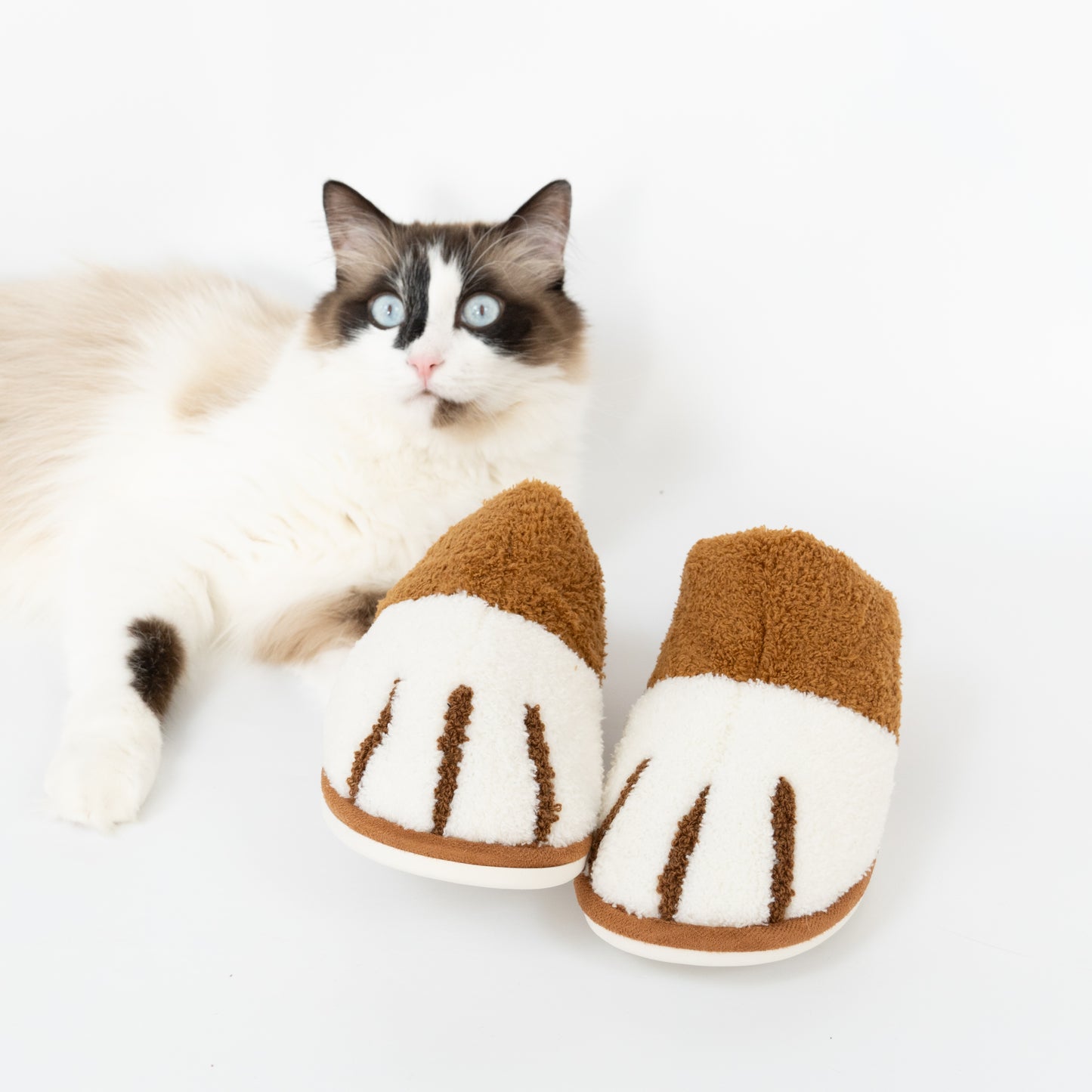 Hausschuhe "Paws"