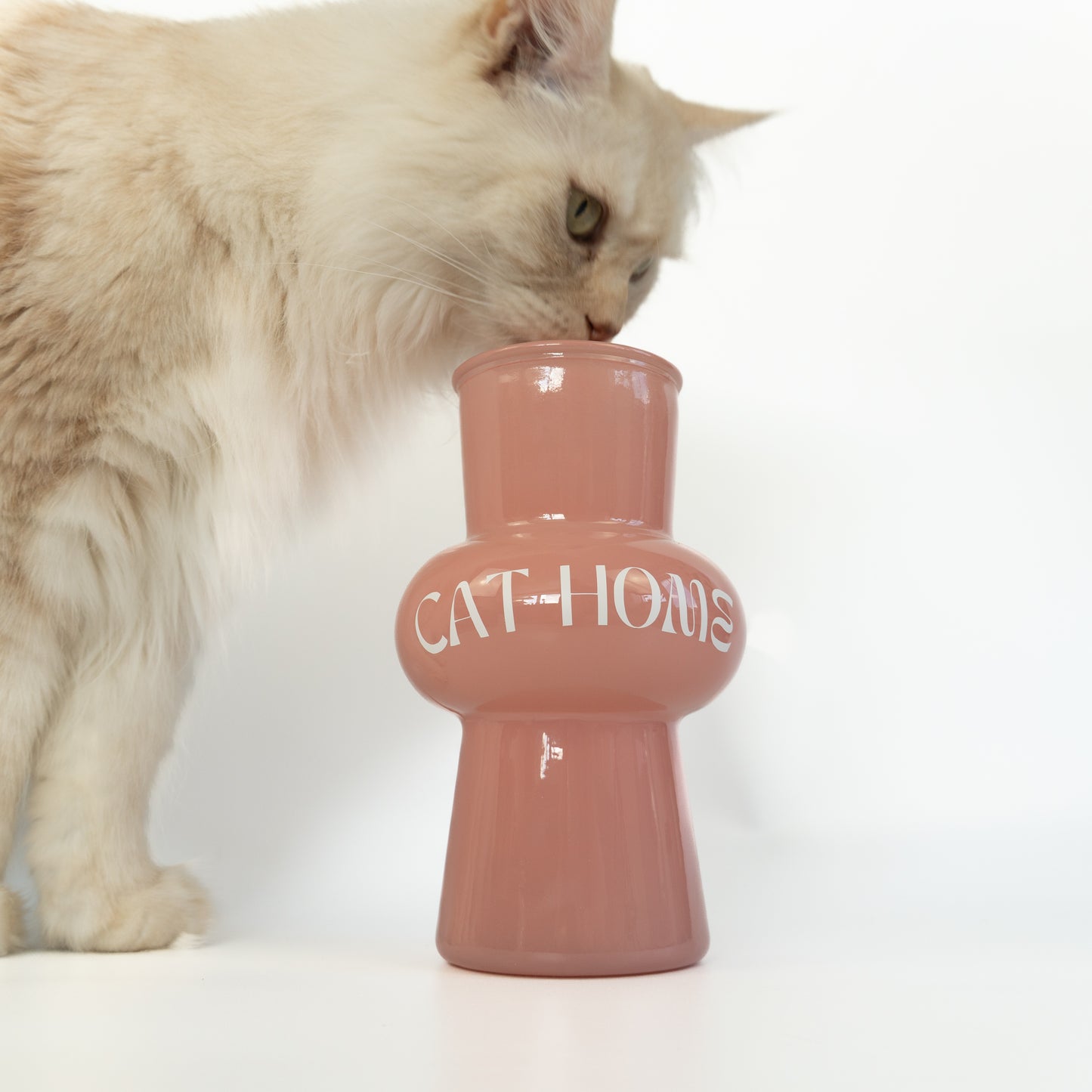 Vase | CAT HOME