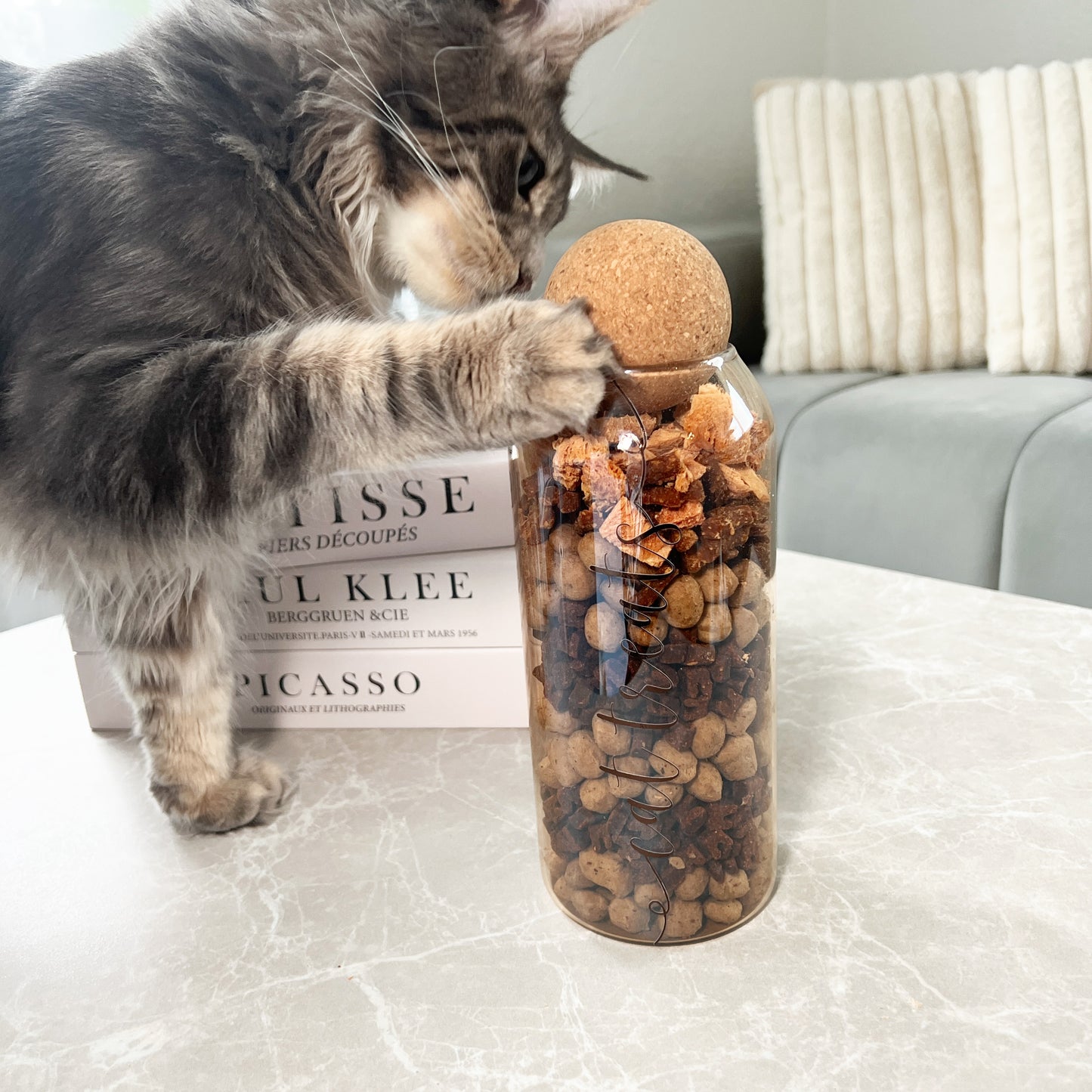 Snackglas "cat treats"