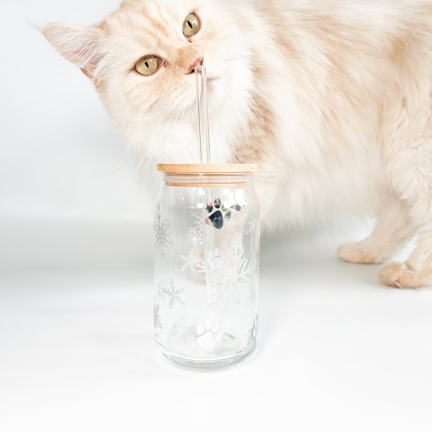 Glas | Snowflakes & Paws -Limited Catmas Edition-