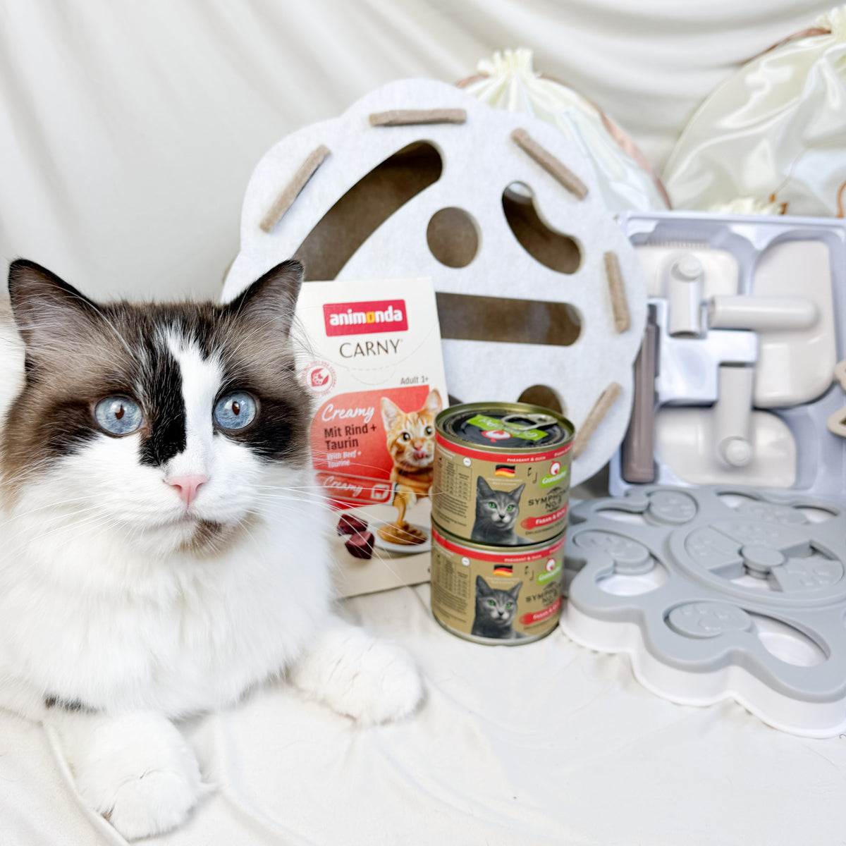 Catmom Adventskalender 2026