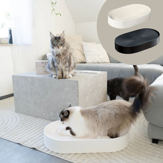 B-Ware Kratzb(r)ett - 2 in 1